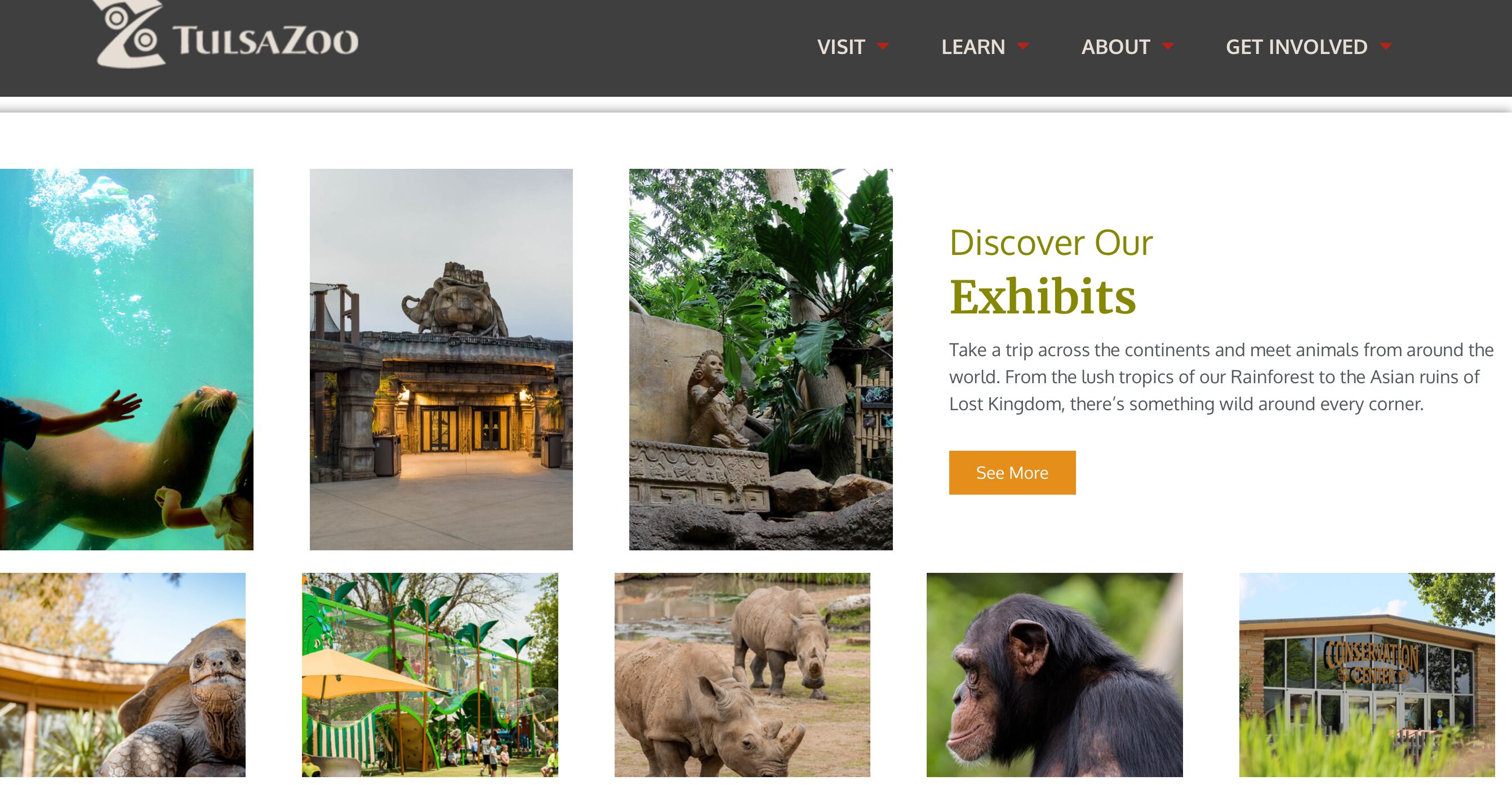 Picture of Tulsa Zoo 