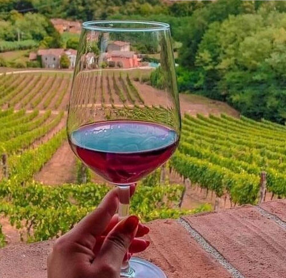 Picture of Tenuta Adamo Winery