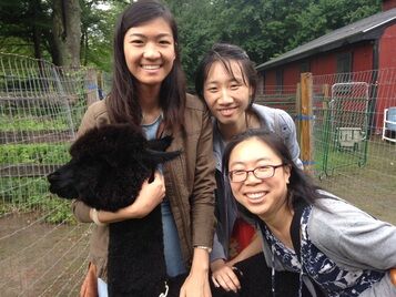 Picture of Harvard Alpaca Ranch