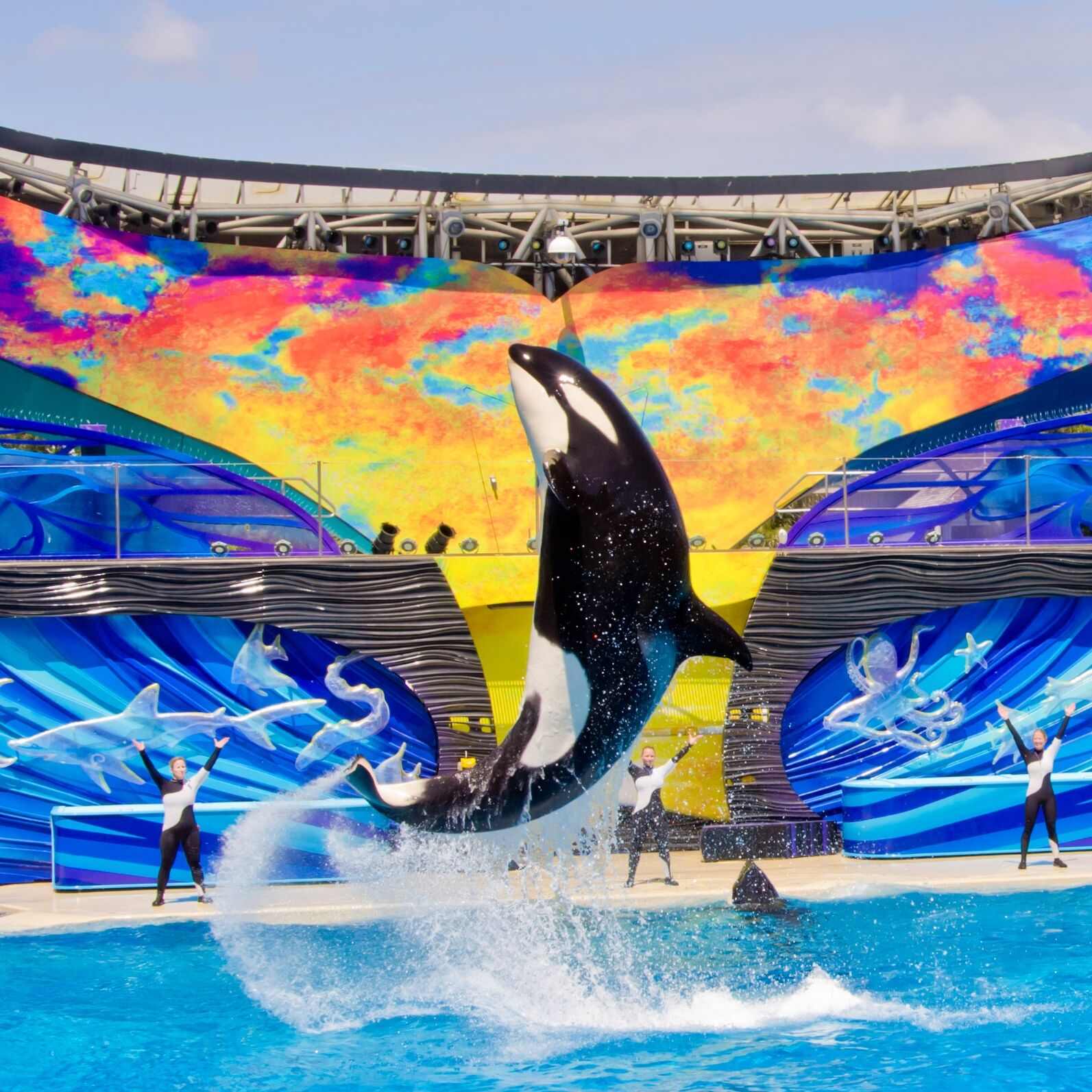 Picture of SeaWorld San Diego