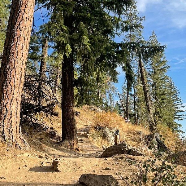 Picture of Tubbs Hill