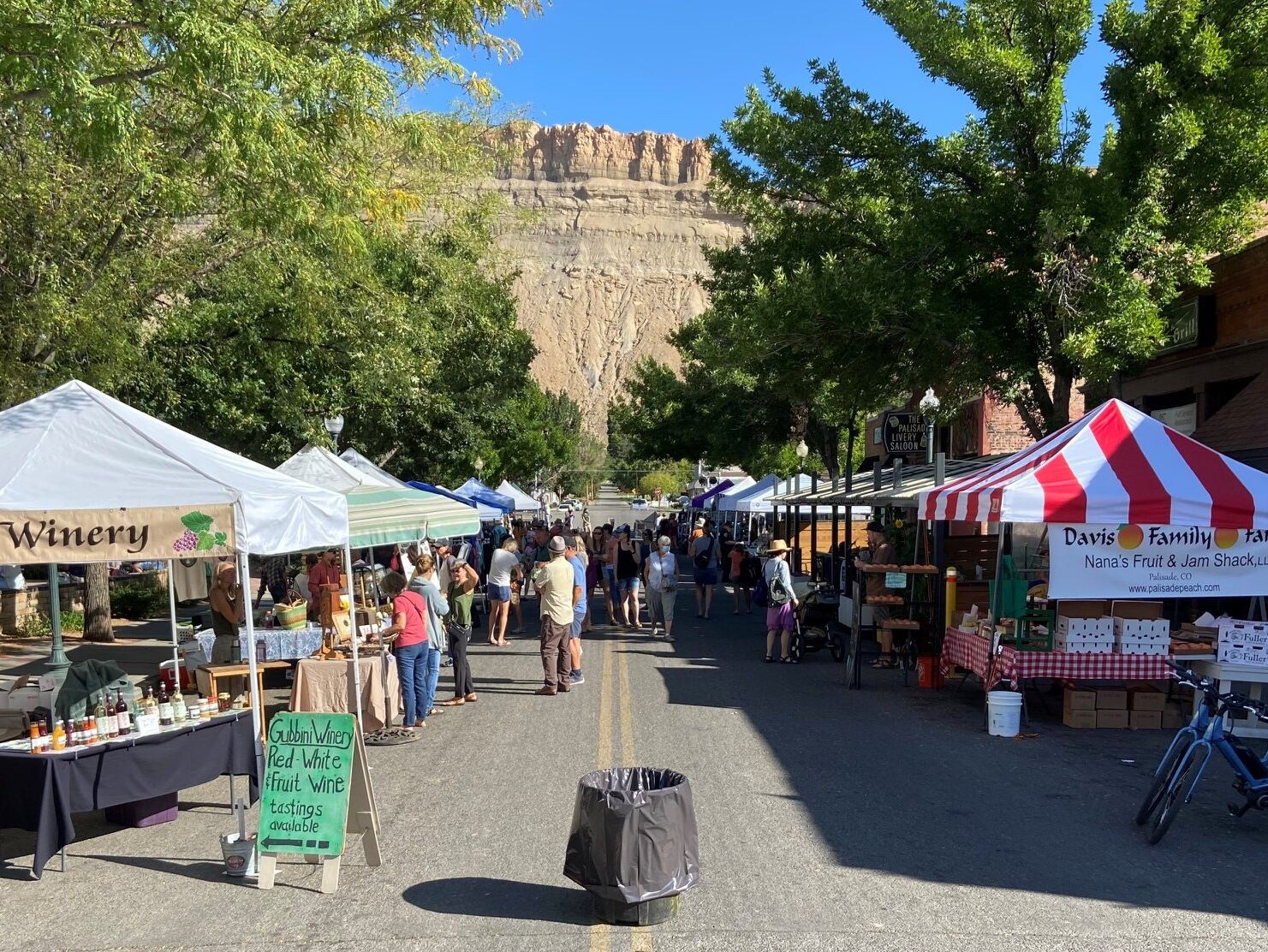 Picture of Palisade Sunday Farmer's Market