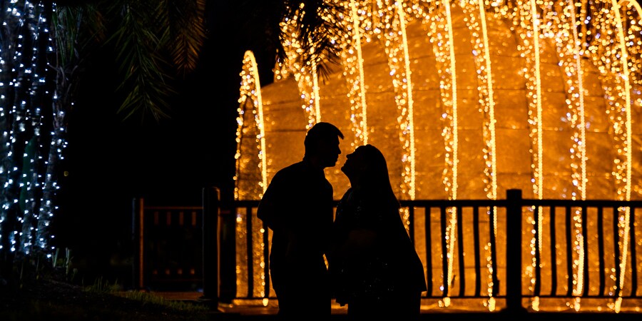 Courtney  & Richard Home Page Banner