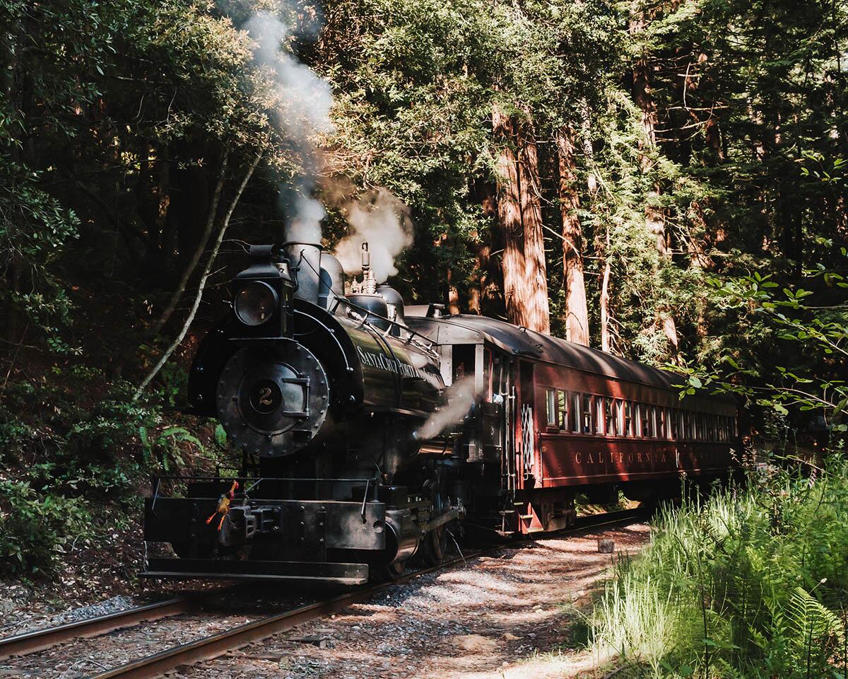 Picture of Skunk Train