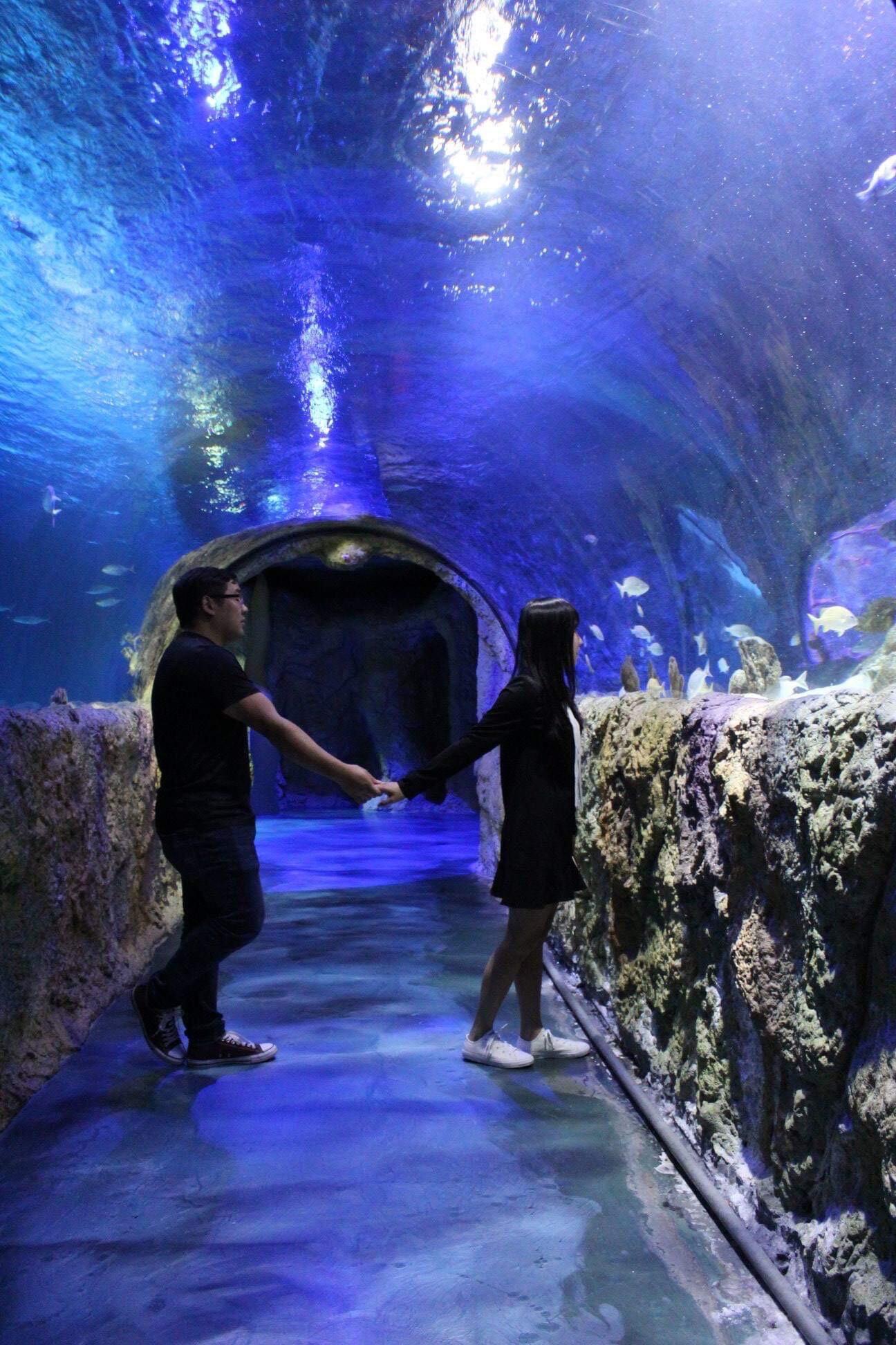 Phong and Trinh met each other in 2017 while helping out at a church retreat for their middle-high school youth. After realizing there was more to the relationship, they took a leap and went on their first official date! The aquarium...such a classic choice.