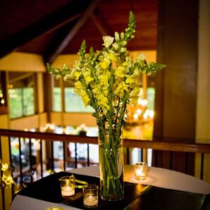 Snap Dragon Centerpieces