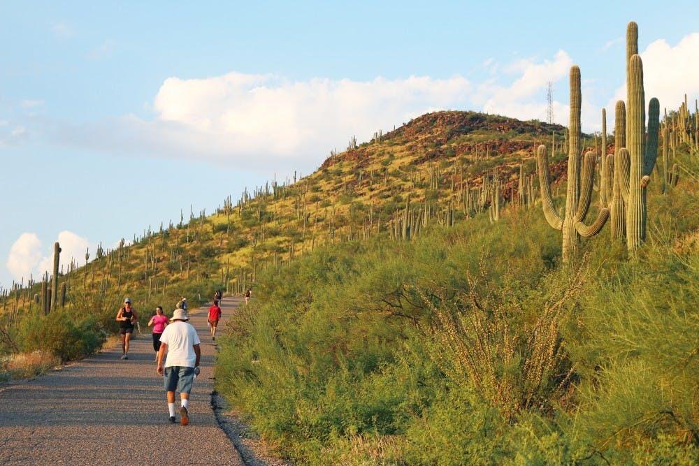 Picture of Tumamoc Hill Hiking Trail