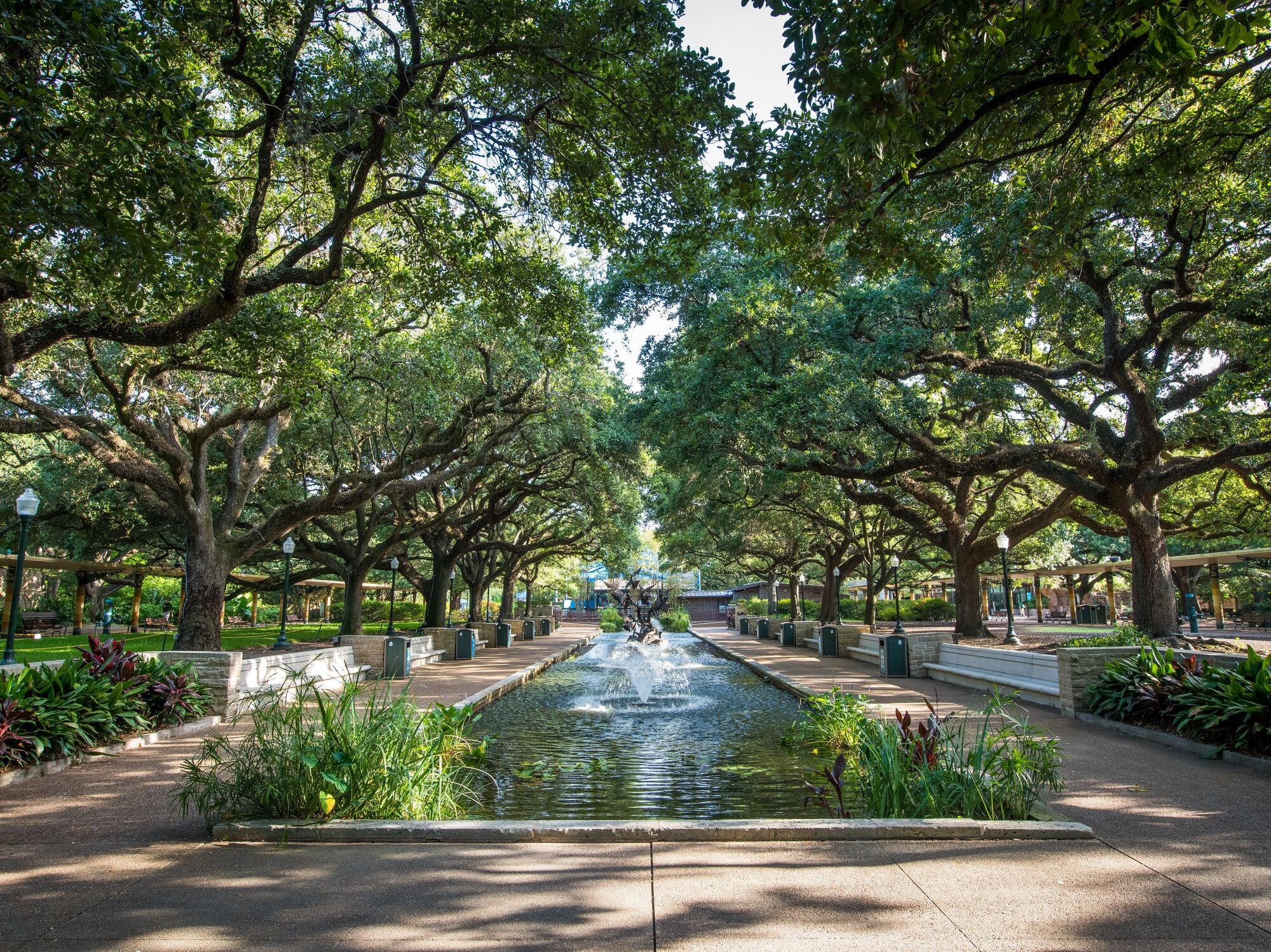 Picture of Museum District