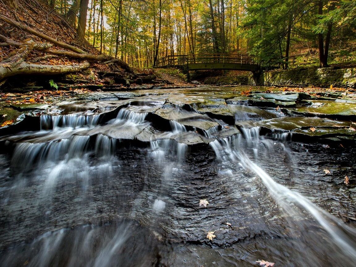 Picture of Cleveland Metroparks