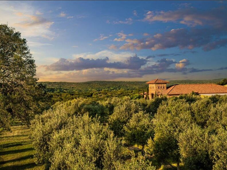 Picture of Texas Hill Country Olive Co.