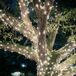 Exchanging Vows at Outdoor Nighttime Ceremony