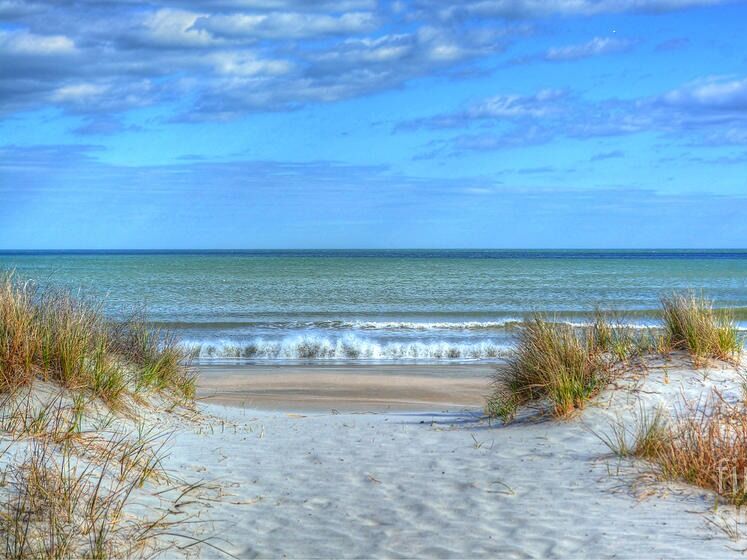 Picture of Huntington Beach State Park