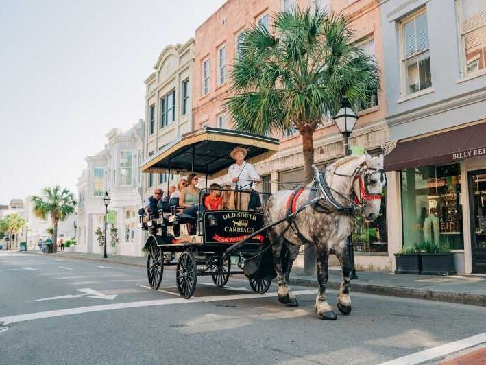 Picture of Charleston Carriage Tours