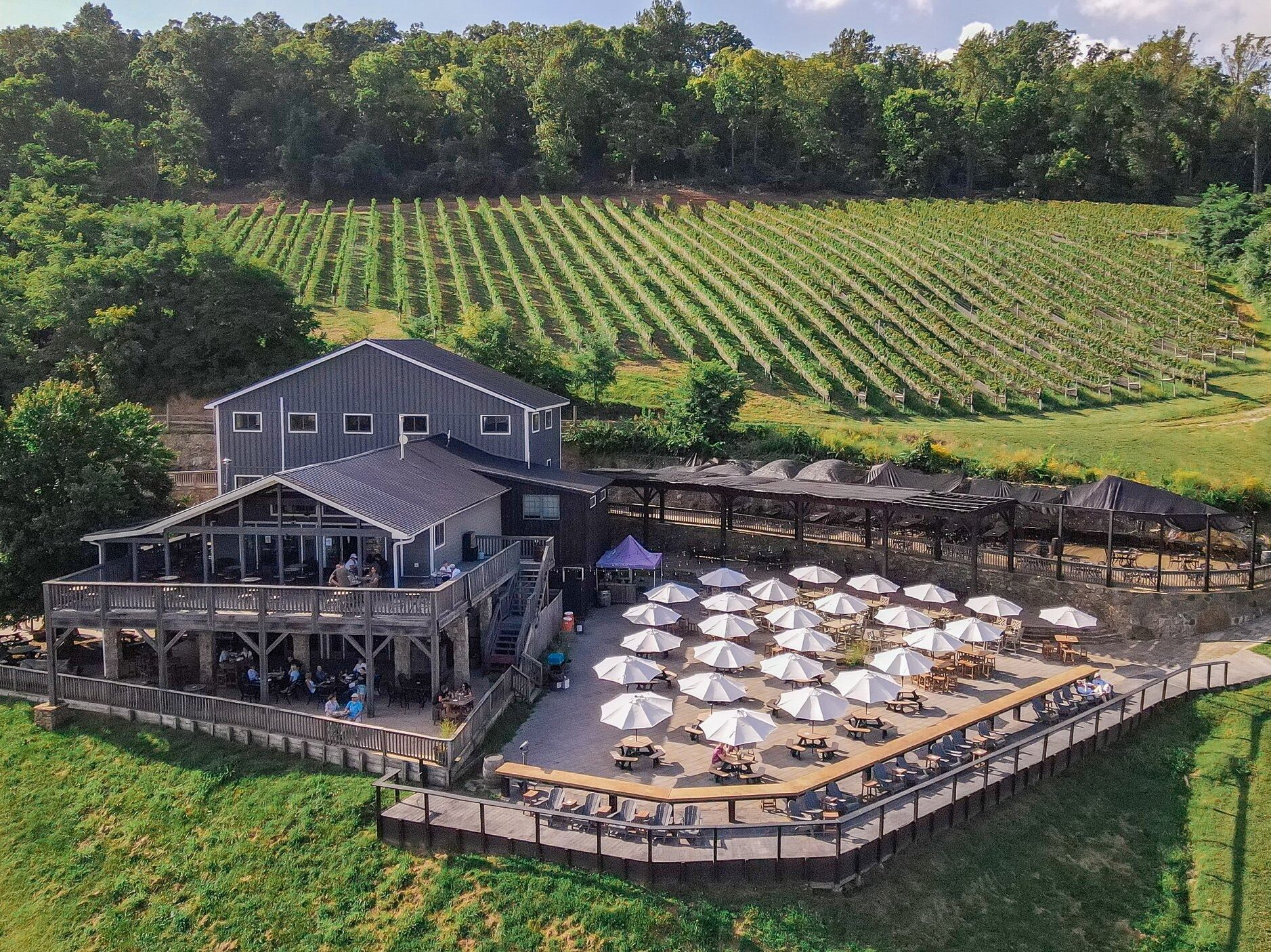 Picture of Bluemont Vineyard