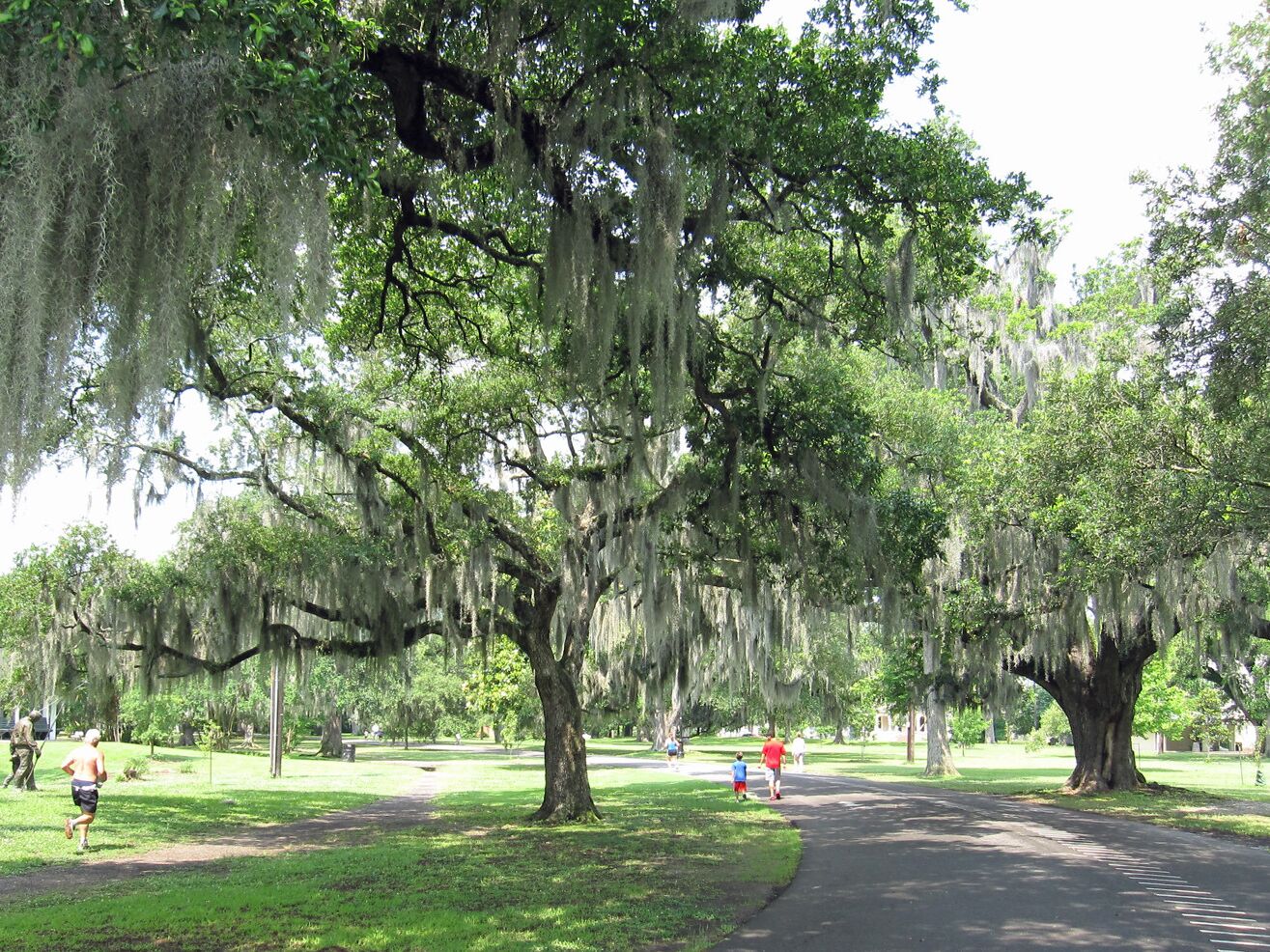 Picture of Audubon Park