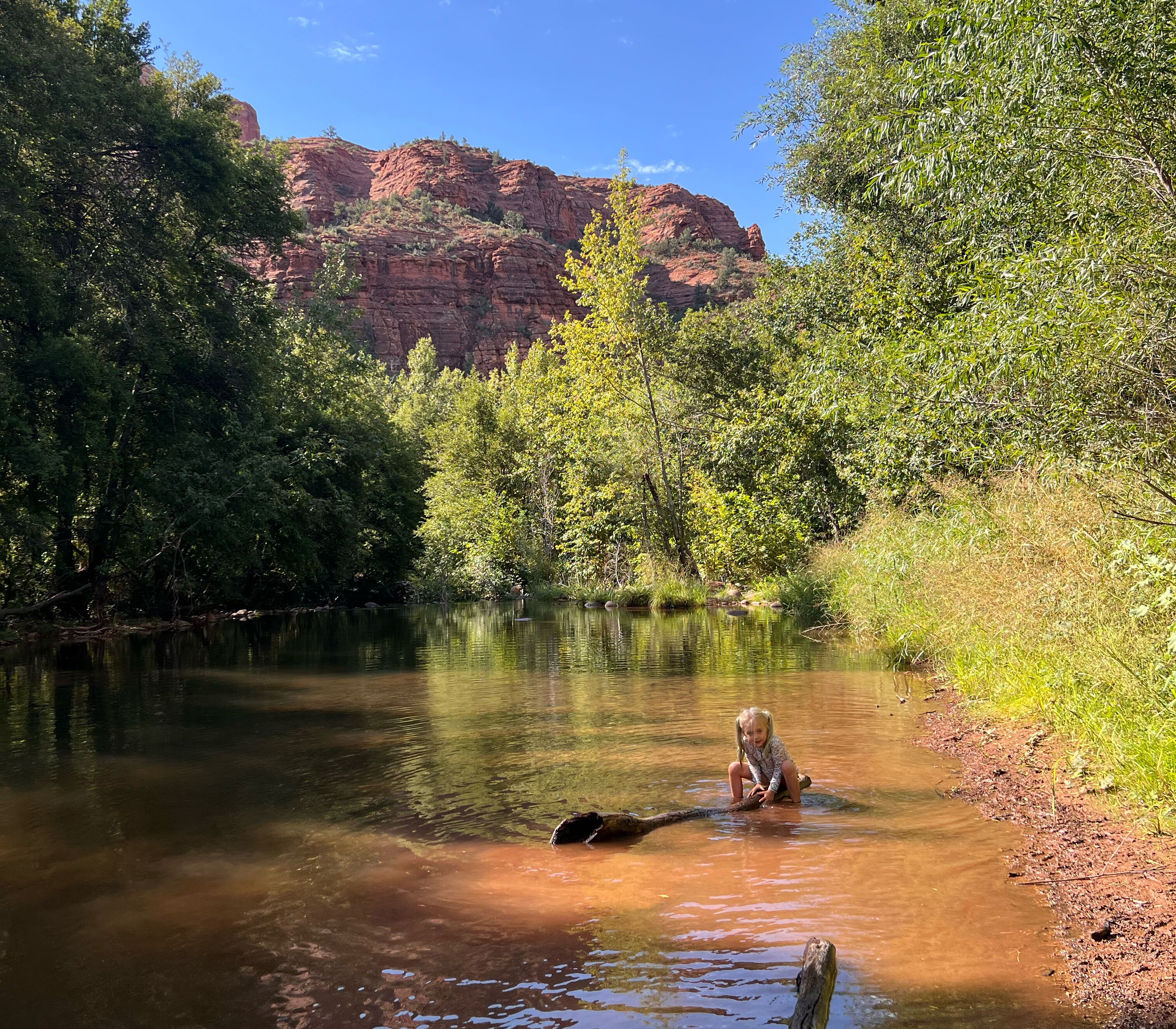 Picture of Crescent Moon Picnic Site