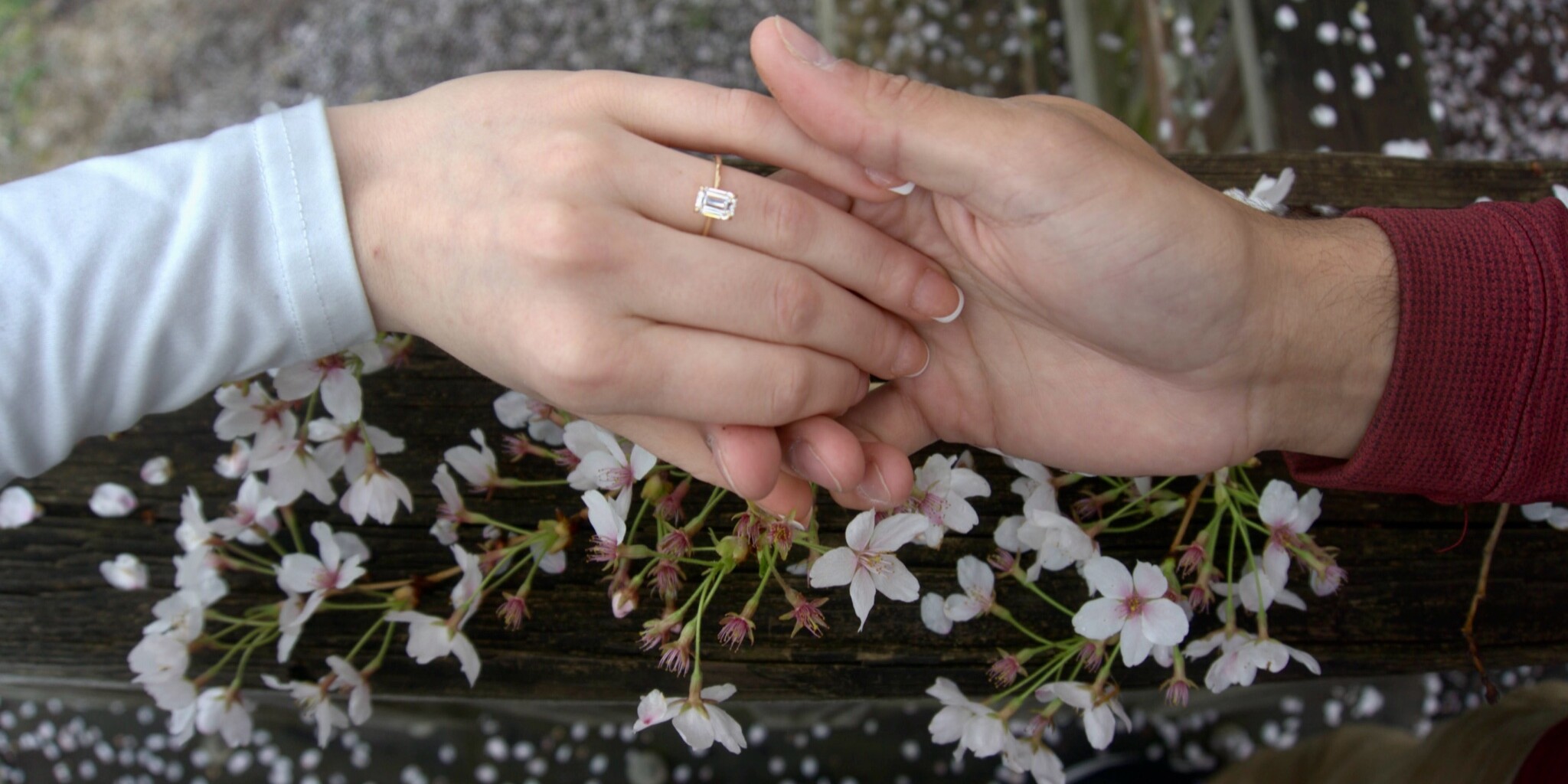 Zachary & Mackenzie Home Page Banner