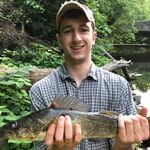 Ryan Mowrey