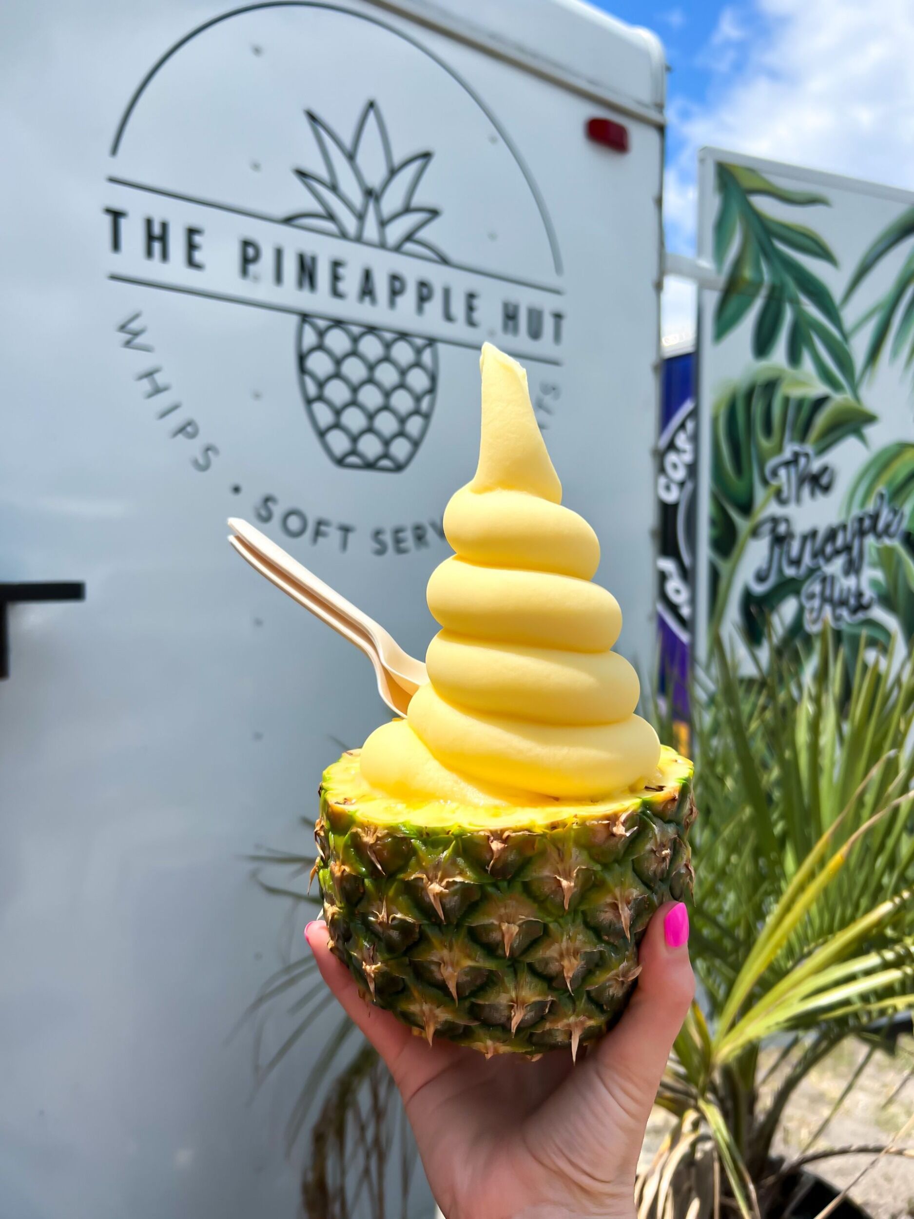 Picture of The Pineapple Hut