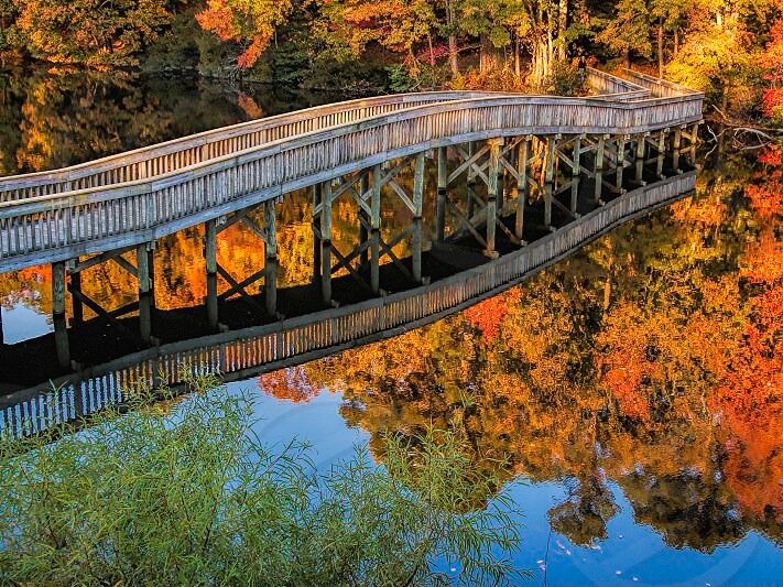Picture of The Noland Trail