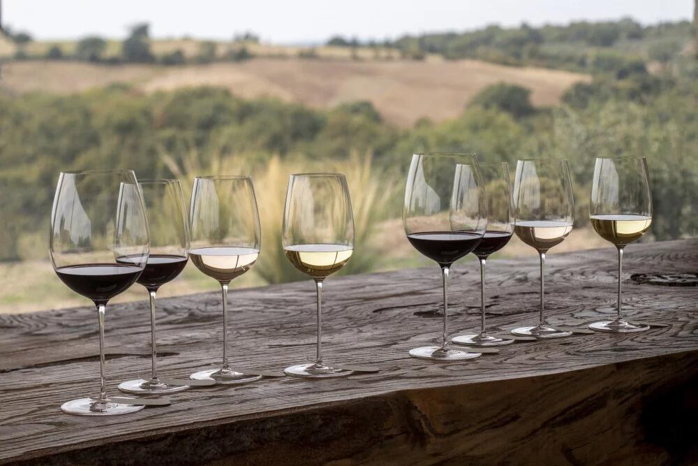 Picture of Wine Tasting!
