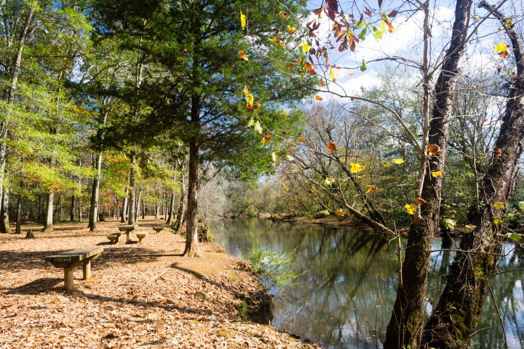Picture of J.D. & Annie S. Hays Nature Preserve
