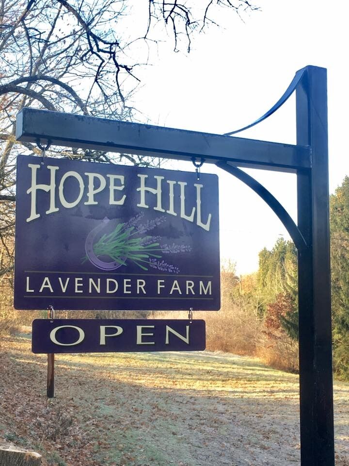 Picture of Hope Hill Lavender Farm LLC