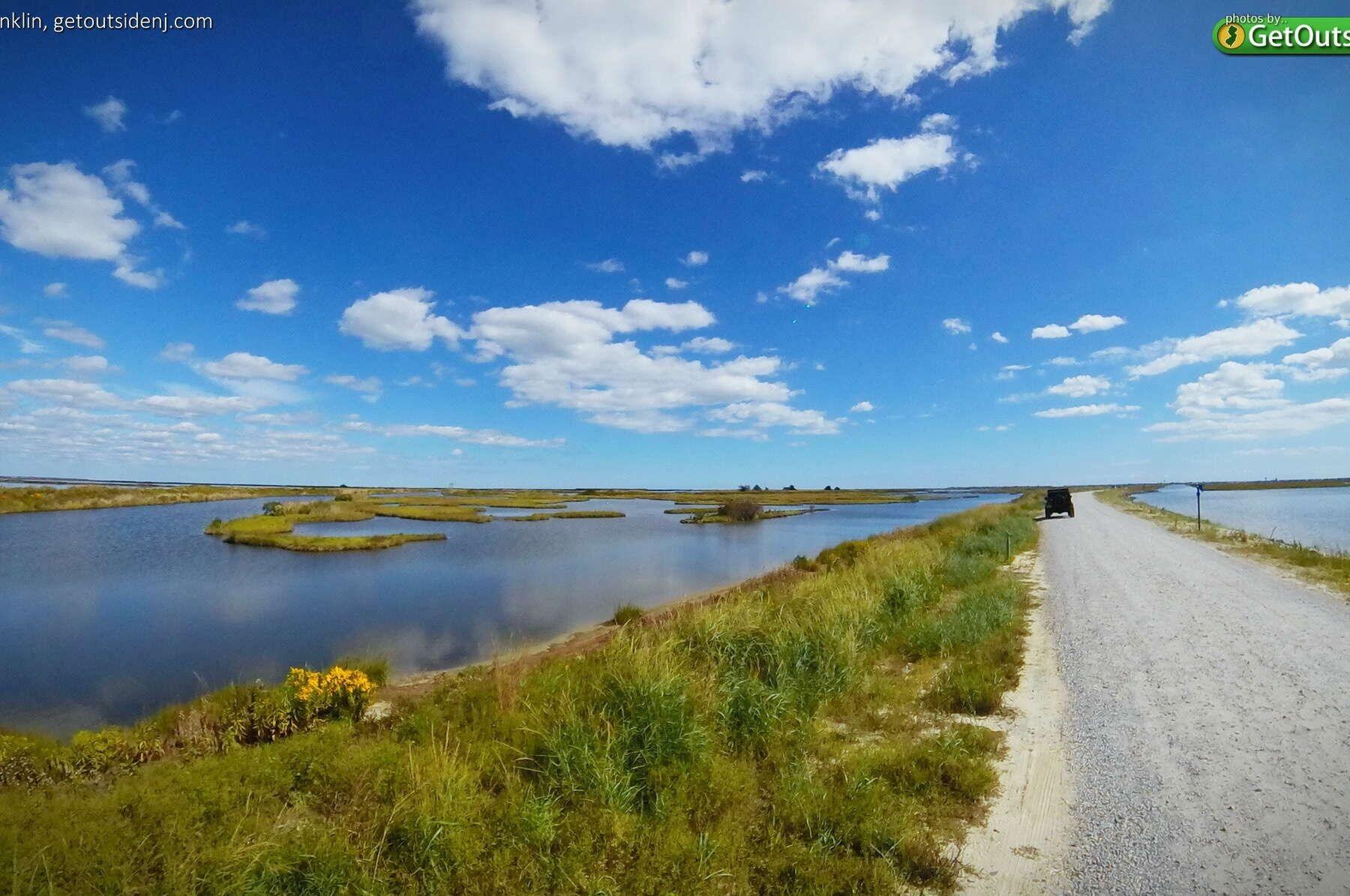 Picture of Activity - Edwin B Forsythe National Wildlife Refuge
