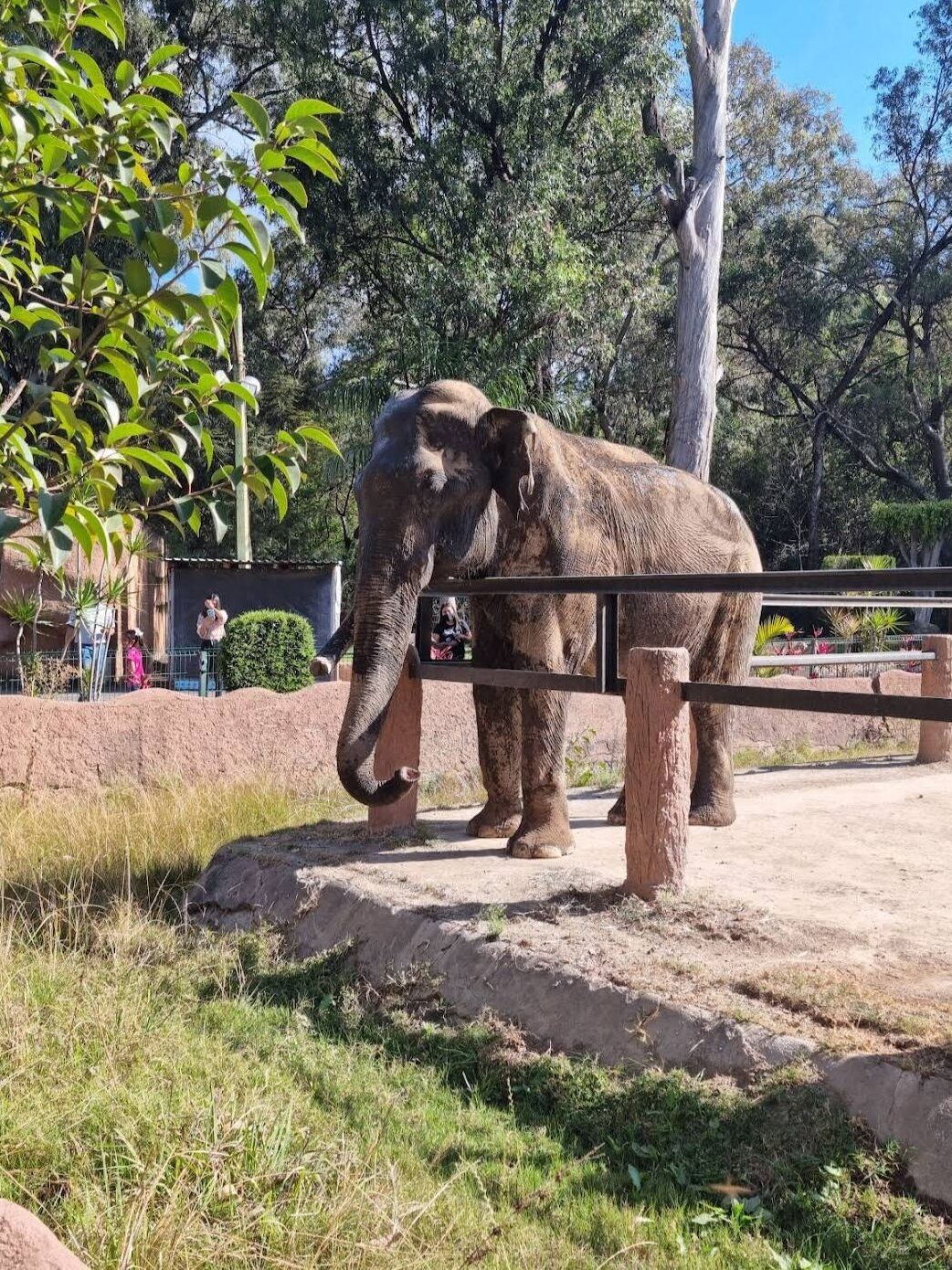 Picture of Parque Zoológico Benito Juárez