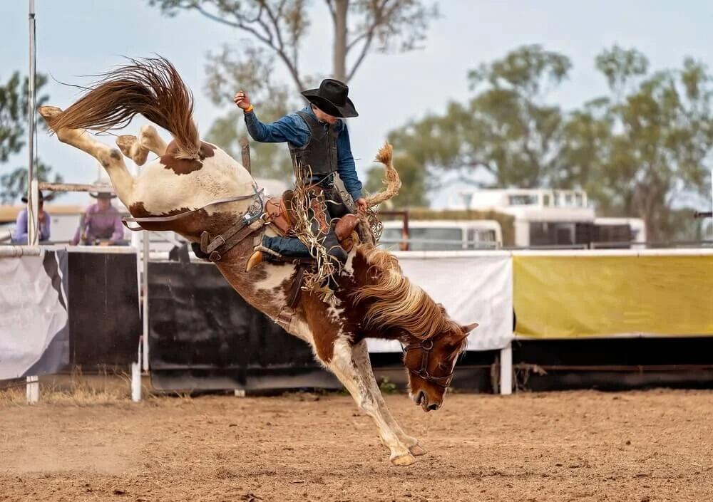 Picture of Jackson Hole Rodeo