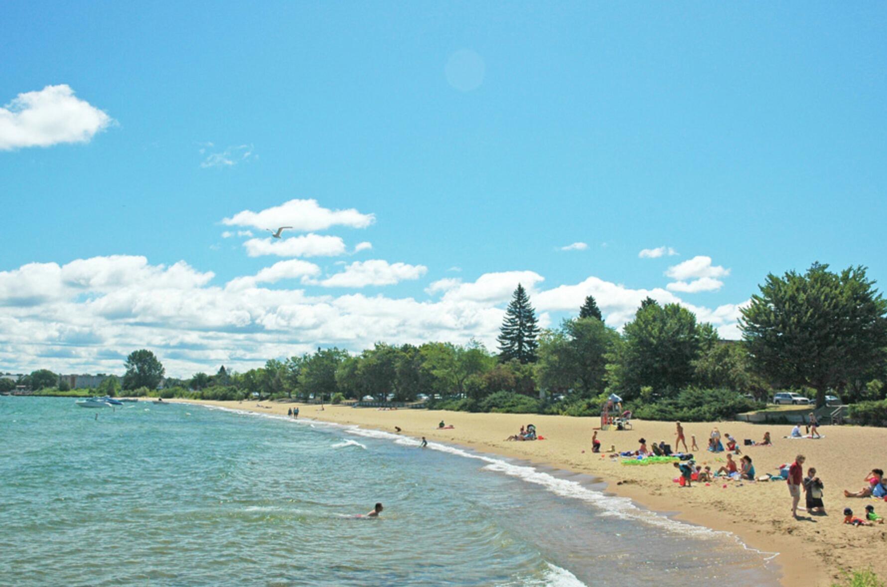 Picture of Clinch Park (Public Beach)