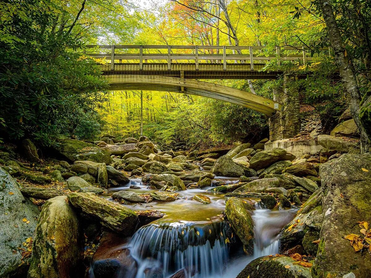 Picture of Boone Fork Trail