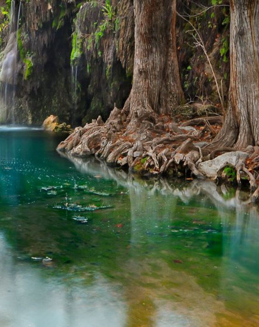 Picture of Go For A Hike