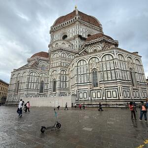 Gallery Photo 30