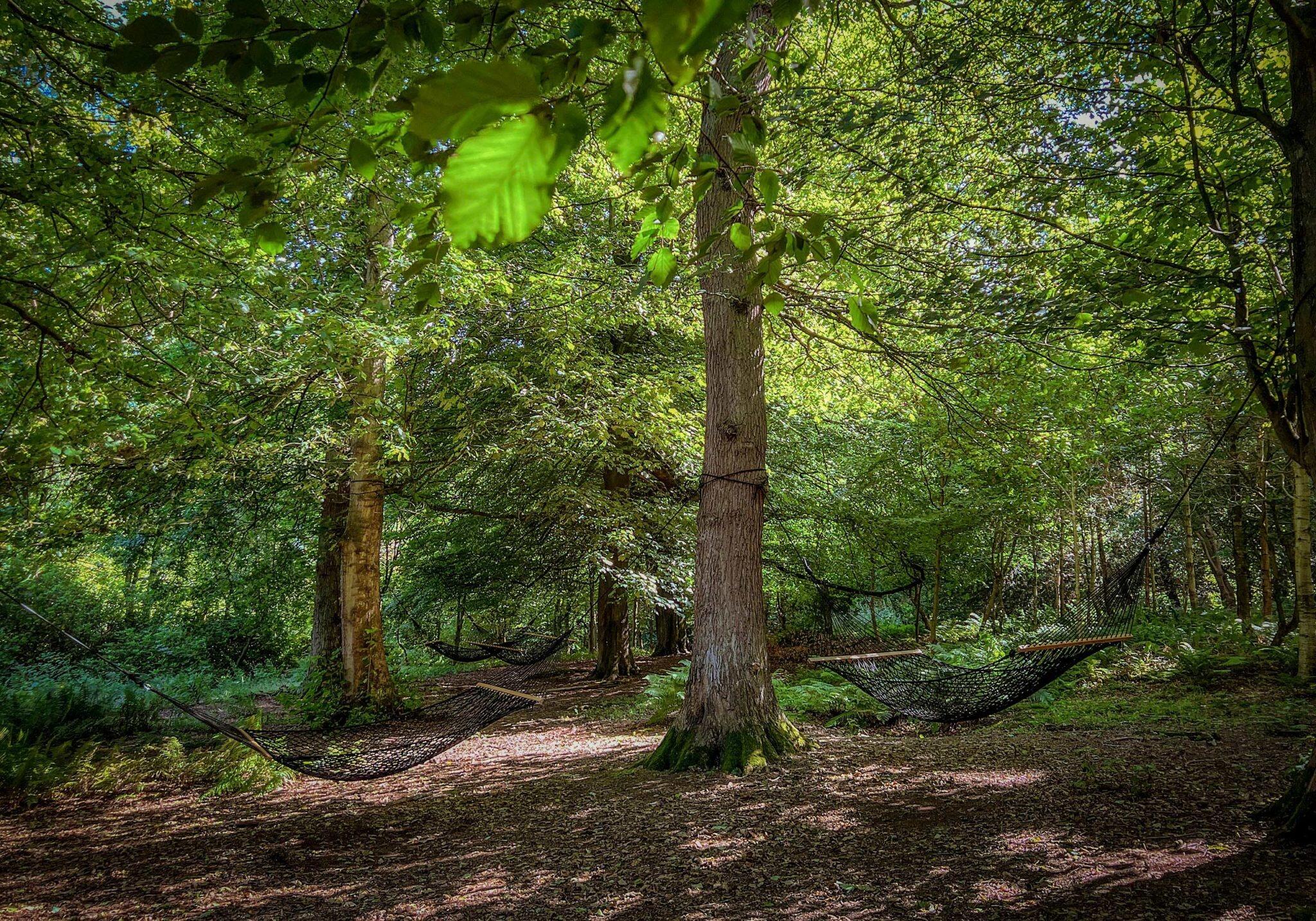 Picture of Walk Swinton's 200 acres of parkland and gardens