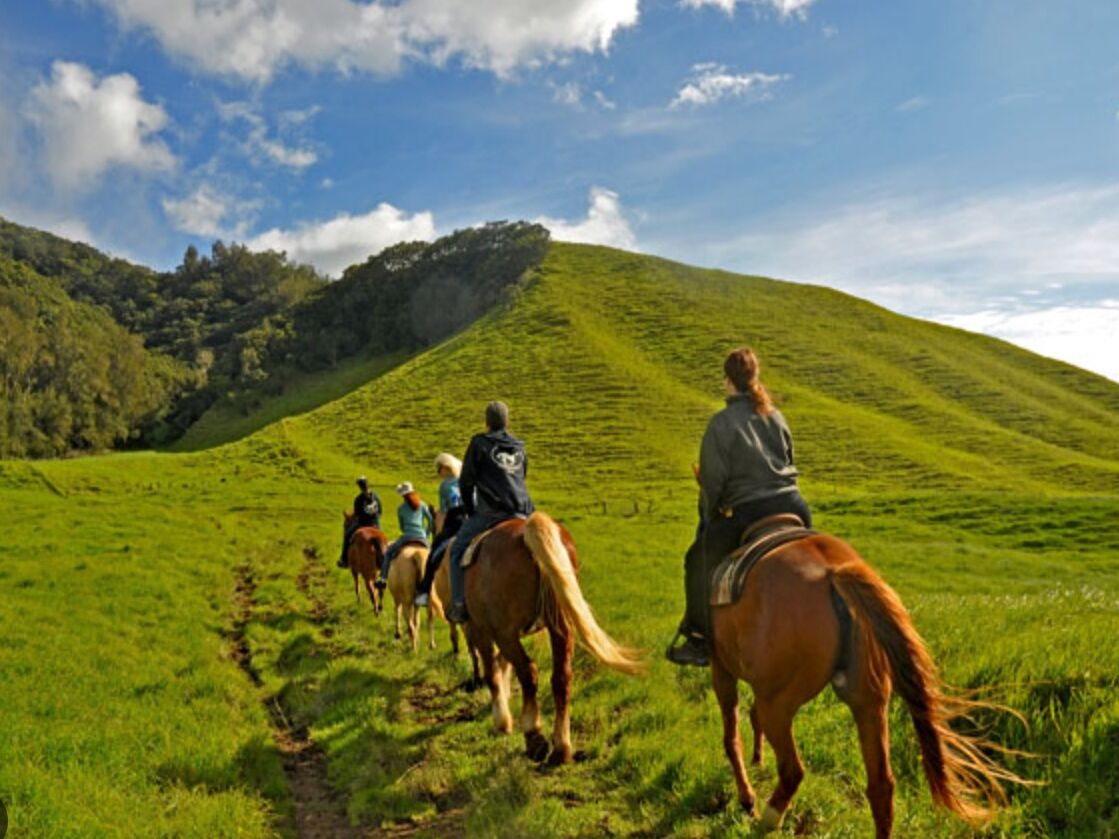 Picture of Kahua Ranch Ltd
