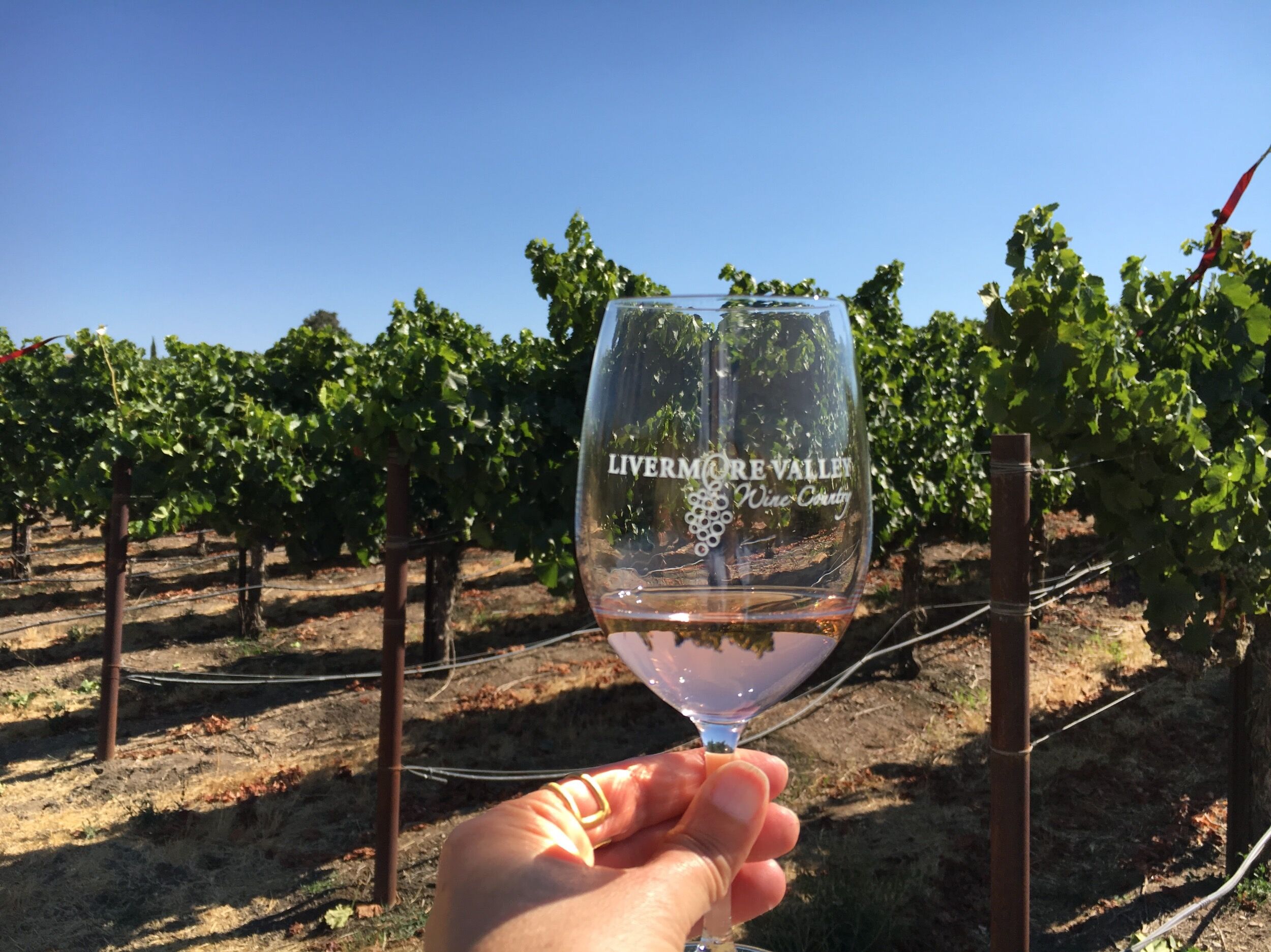 Picture of Wine tasting in Livermore