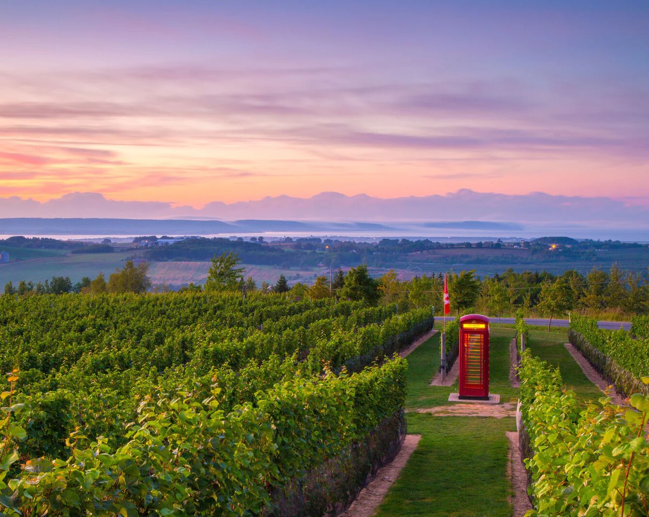 Picture of Luckett Vineyards