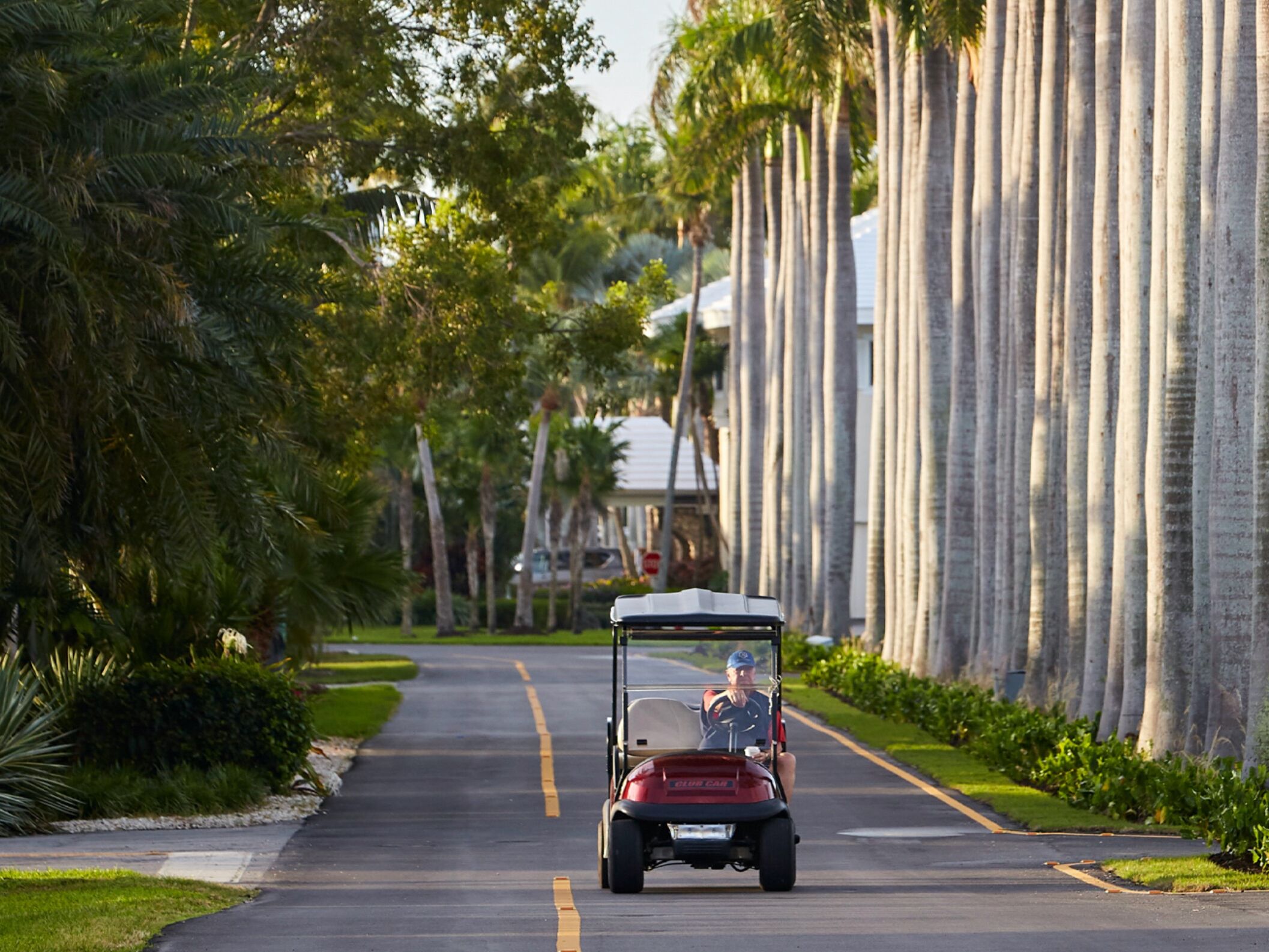 Picture of Traveling Within Ocean Reef