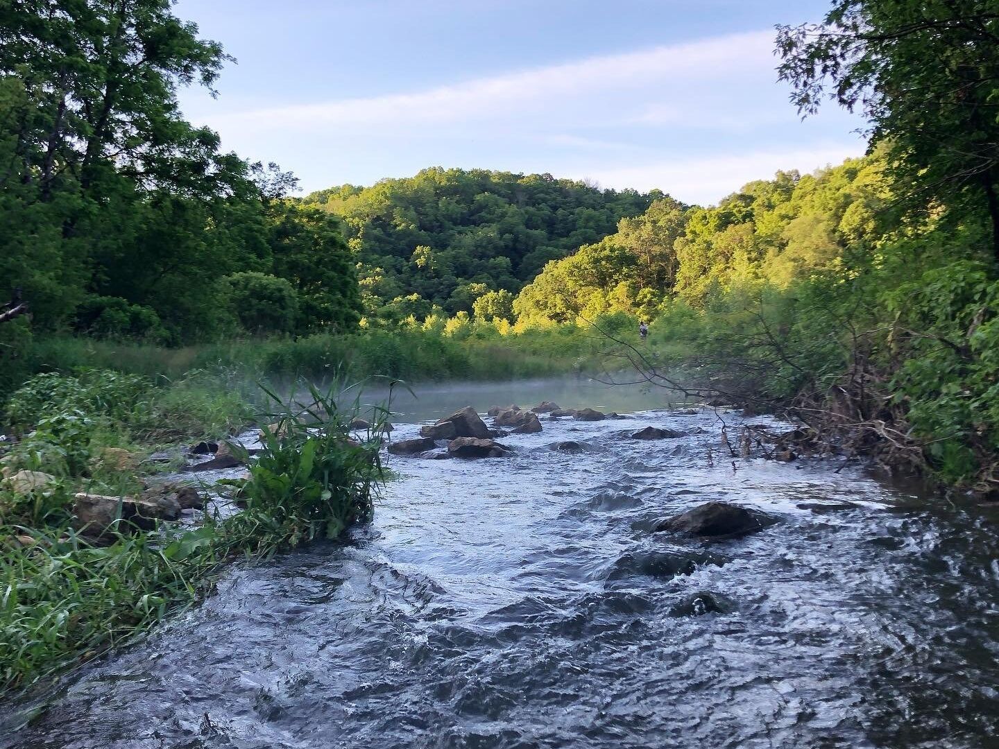 Picture of Yellow River State Forest