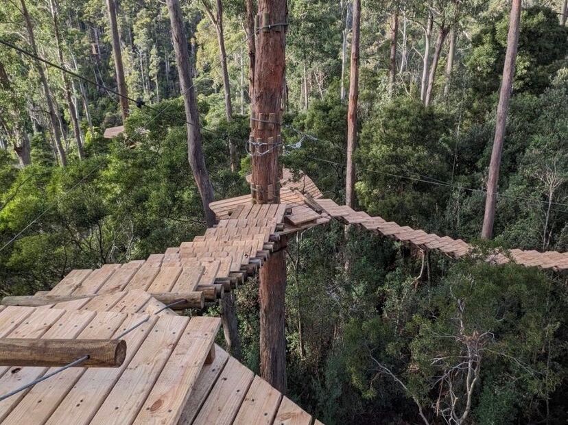 Picture of Treetops Adventure Central Coast