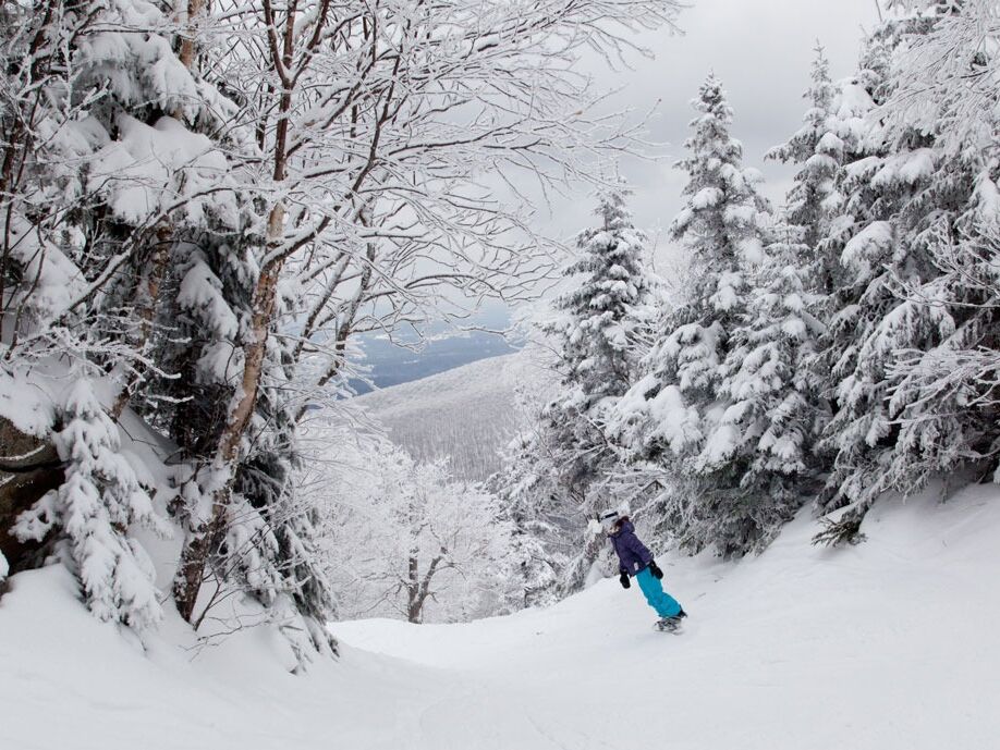 Picture of Mont Sutton