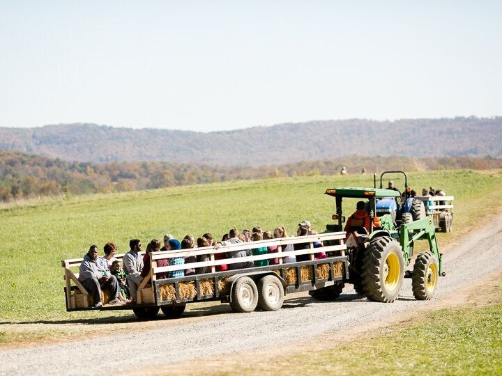 Picture of Sinkland Farms