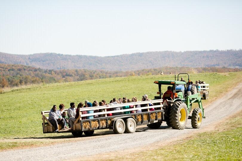 Picture of Sinkland Farms