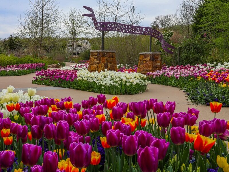 Picture of Tulsa Botanic Garden