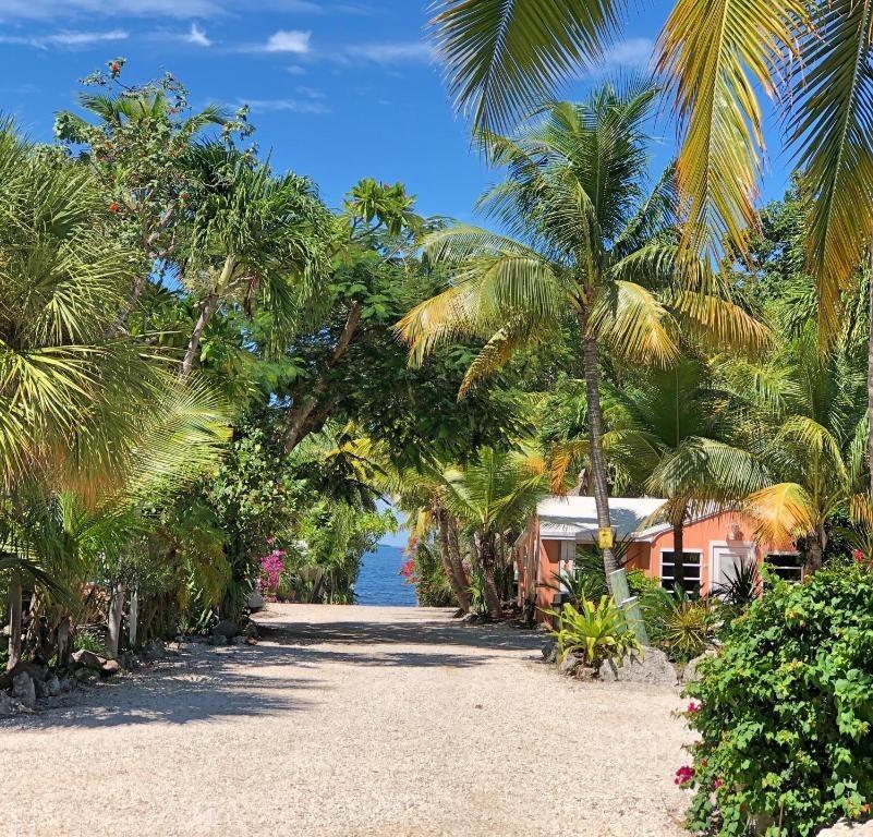 Picture of The Pelican Key Largo Cottages