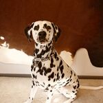 Walter 