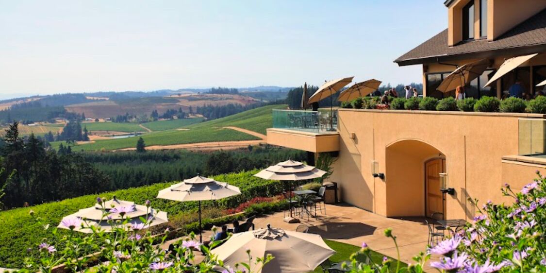 Picture of Willamette Valley Wineries