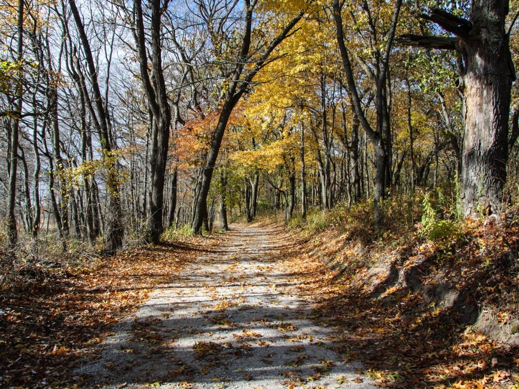 Picture of Indiana Dunes National Park