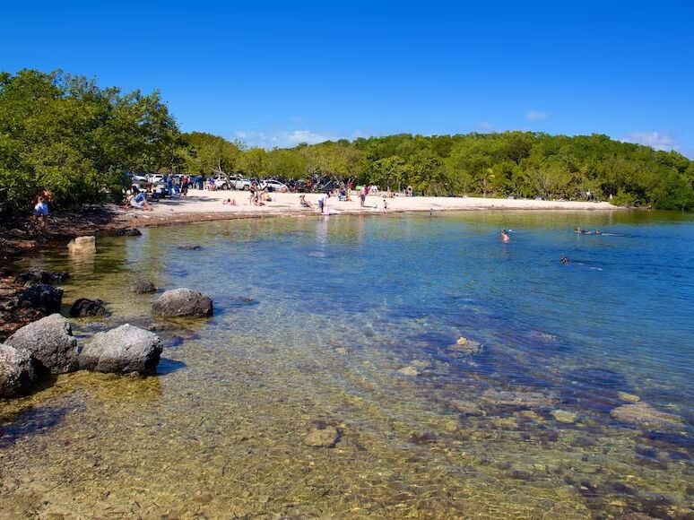 Picture of John Pennekamp Coral Reef State Park
